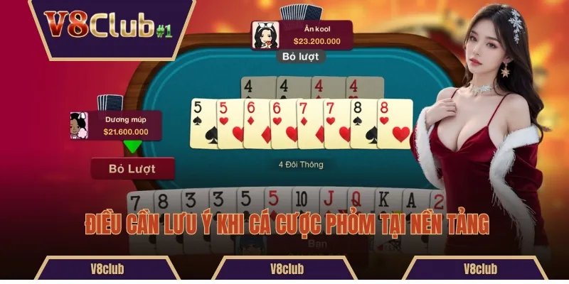 Điều cần lưu ý khi cá cược phỏm tại nền tảng