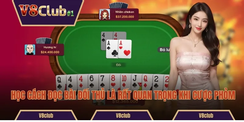 Học cách đọc bài đối thủ là rất quan trọng khi cược phỏm